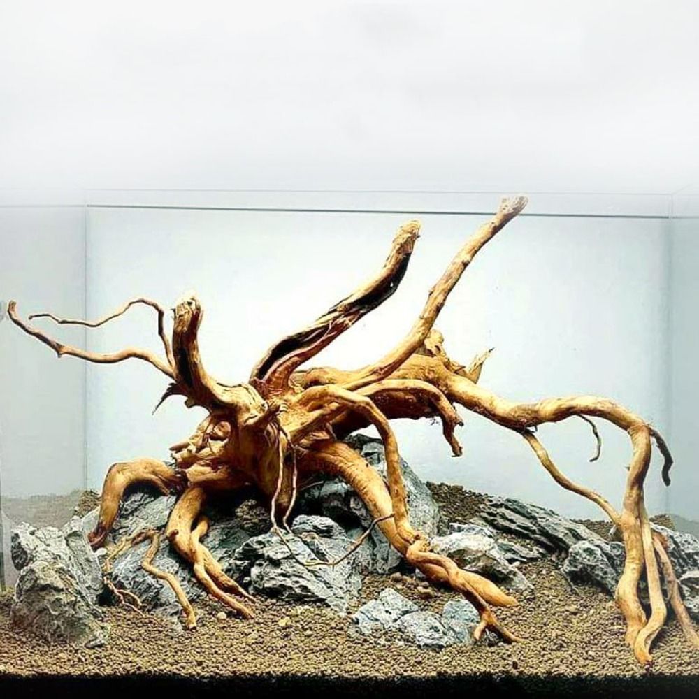 Aquarium Fish Games - Natural Tree Trunk Aquarium Decoration Wood