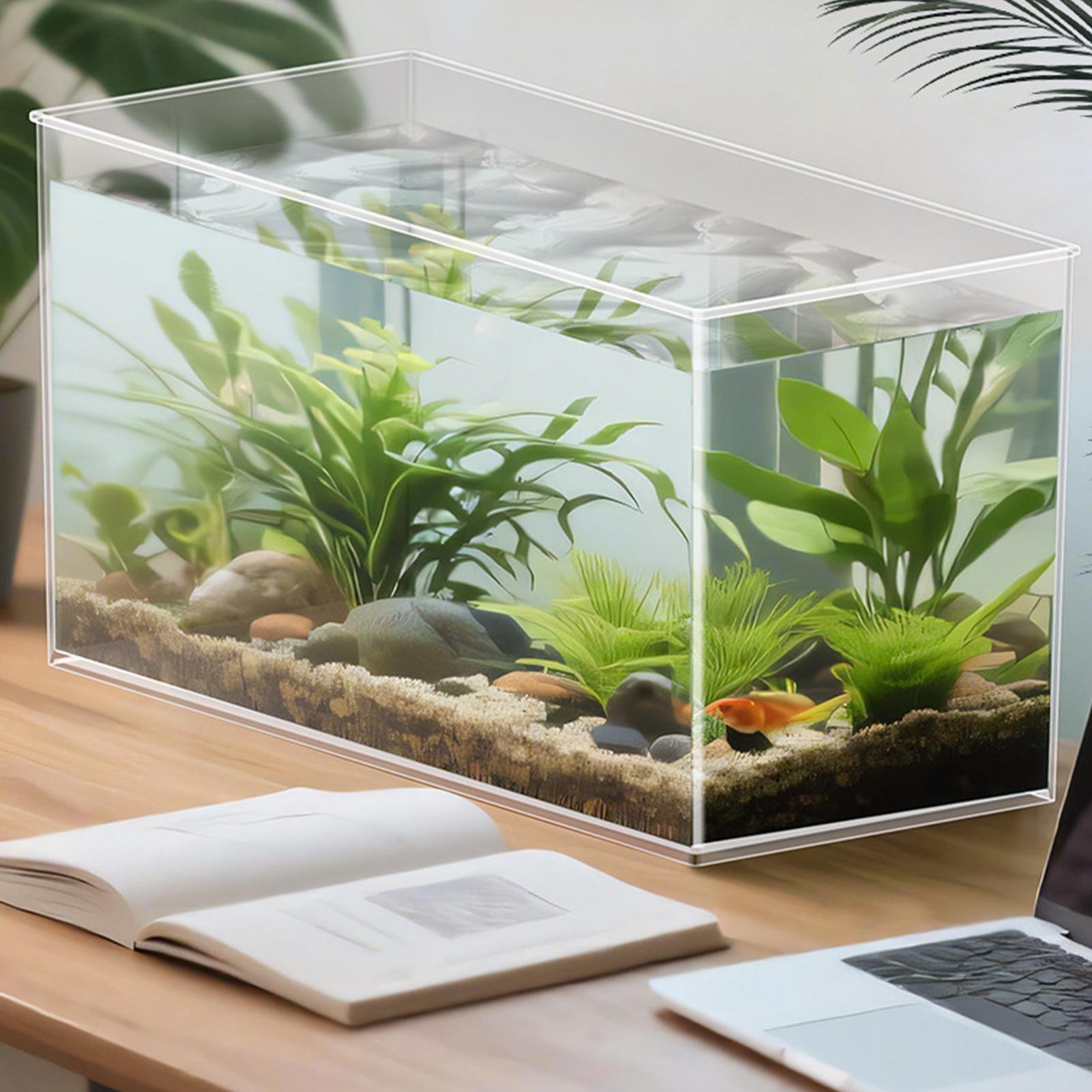 Aquarium Fish Games - Small Fish Tank Betta Tank Extra