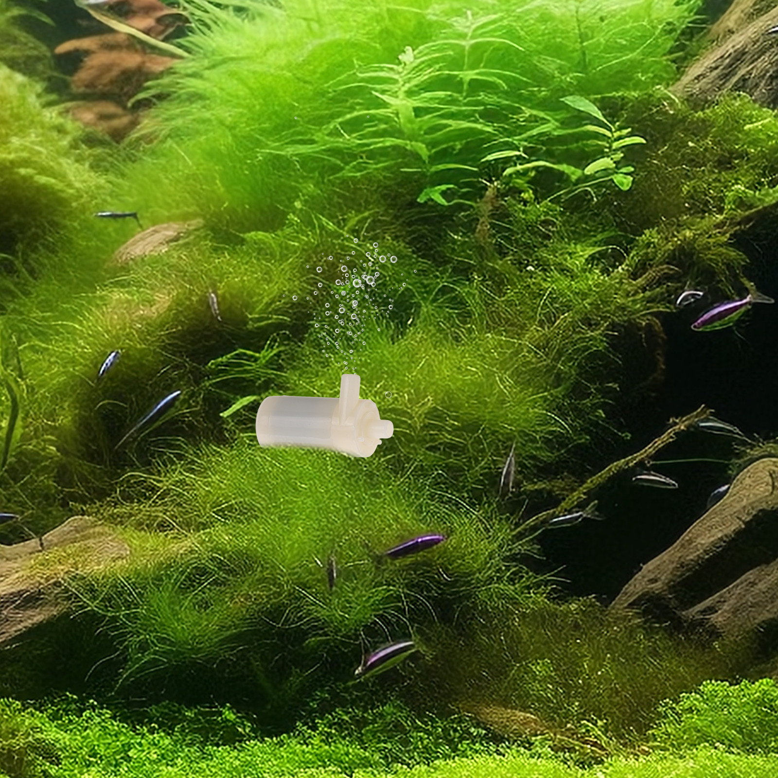 Aquarium Fish Low Maintenance - Brushless Submersible Water Pump Mini Size