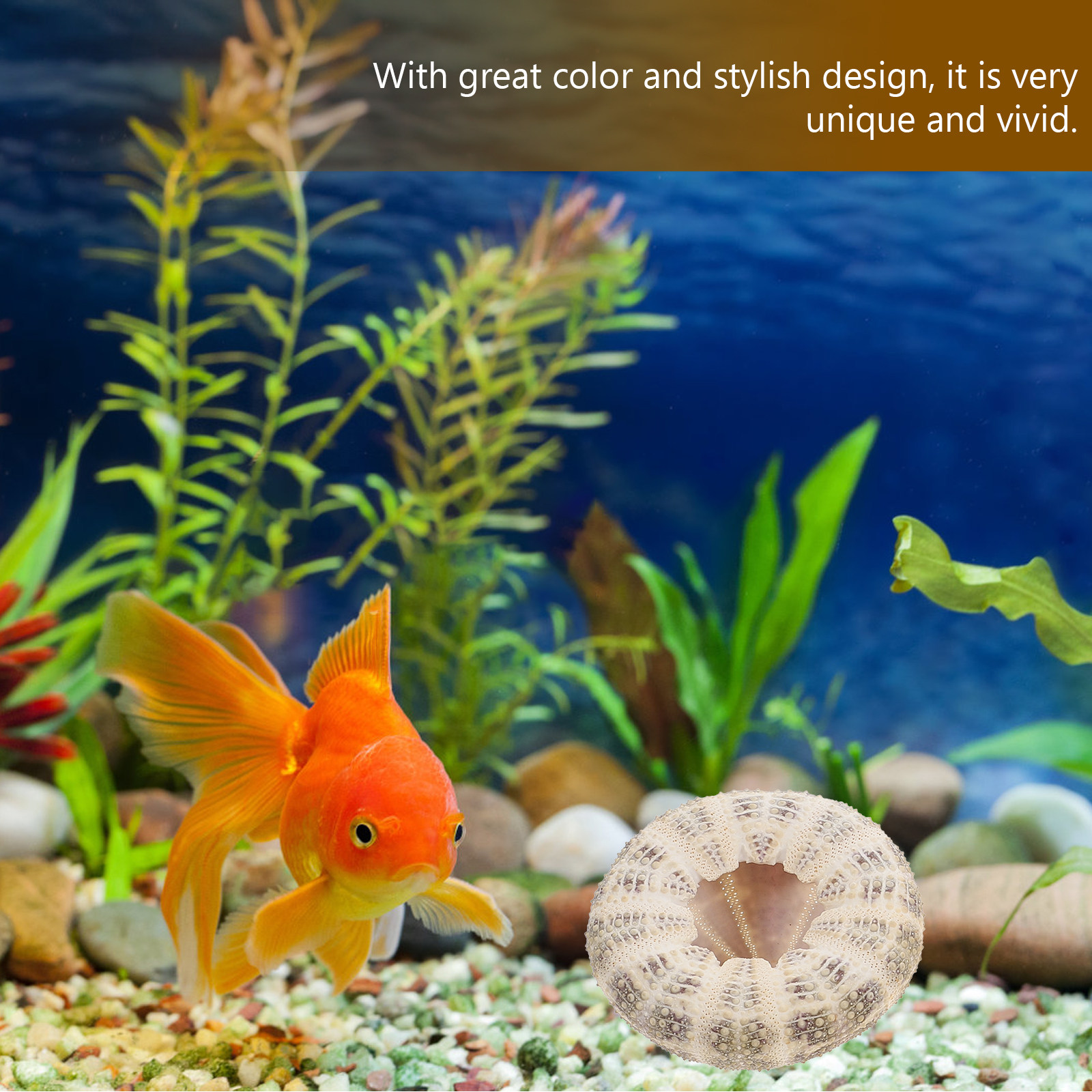 6Pcs Sea Urchin Shell Planter  - Aquarium Fish Pot recensie en prijs
