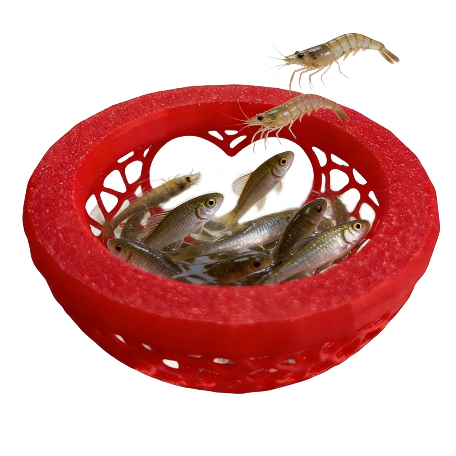 Floating betta shelter Betta h - Aquarium Fish Games recensie en prijs