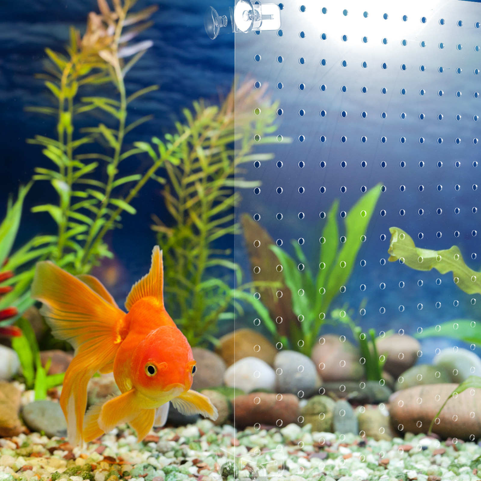 1Set Transparent Acrylic Aquar - Aquarium Fish Reproduction recensie en prijs