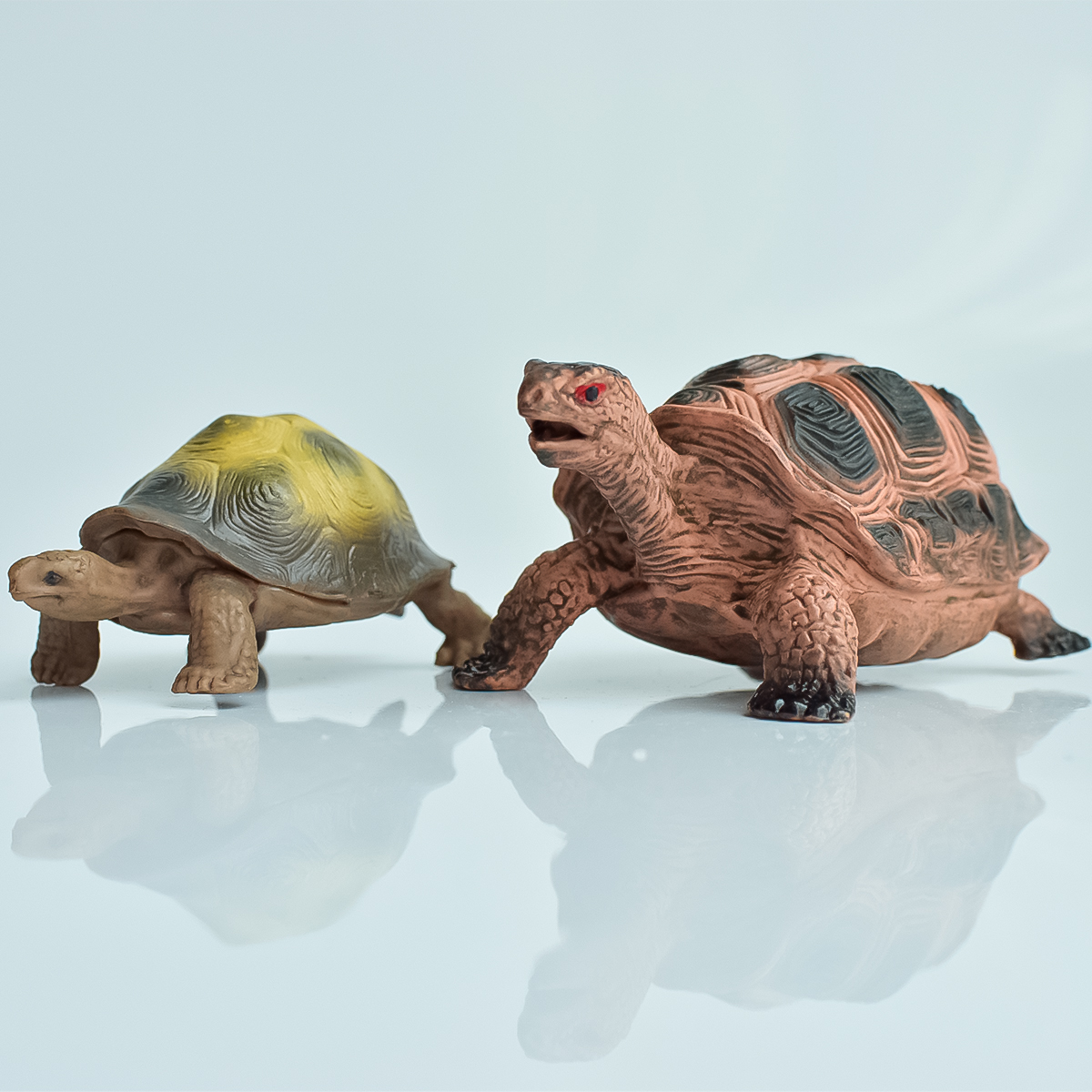 Painted Realistic Animal Turtl - Aquarium Fish Pot recensie en prijs