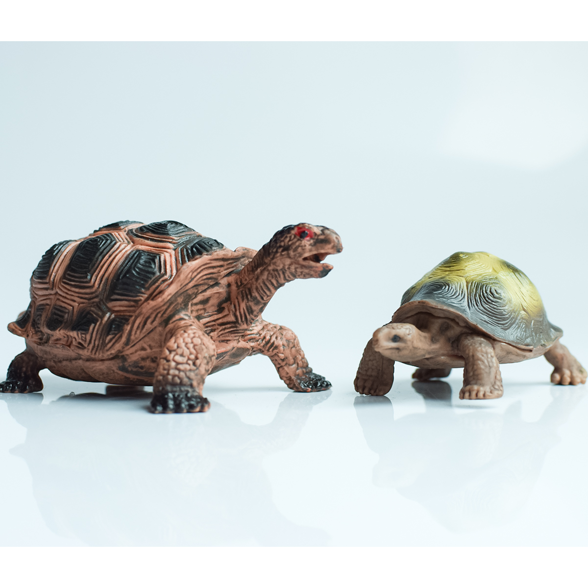 Painted Realistic Animal Turtl - Aquarium Fish Pot recensie en prijs