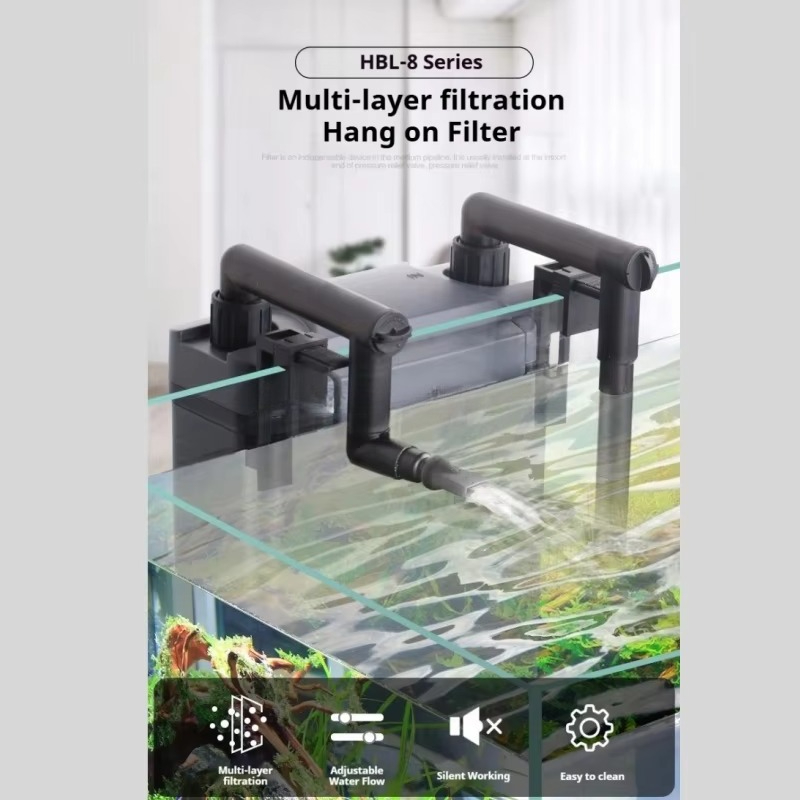 Hot Sale Professional Aquarium - Aquarium Fish For Sale recensie en prijs