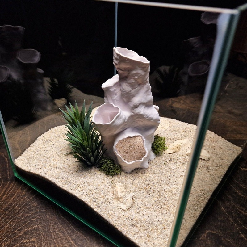 Hot Sale 3D Printed Coral Tunn - Aquarium Fish For Sale recensie en prijs