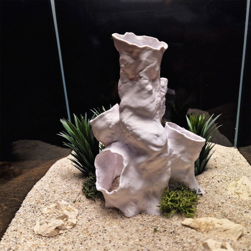 Hot Sale 3D Printed Coral Tunn - Aquarium Fish For Sale recensie en prijs
