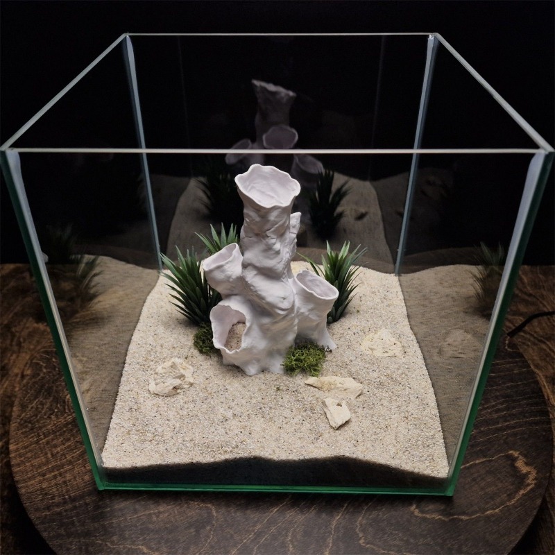 Hot Sale 3D Printed Coral Tunn - Aquarium Fish For Sale recensie en prijs