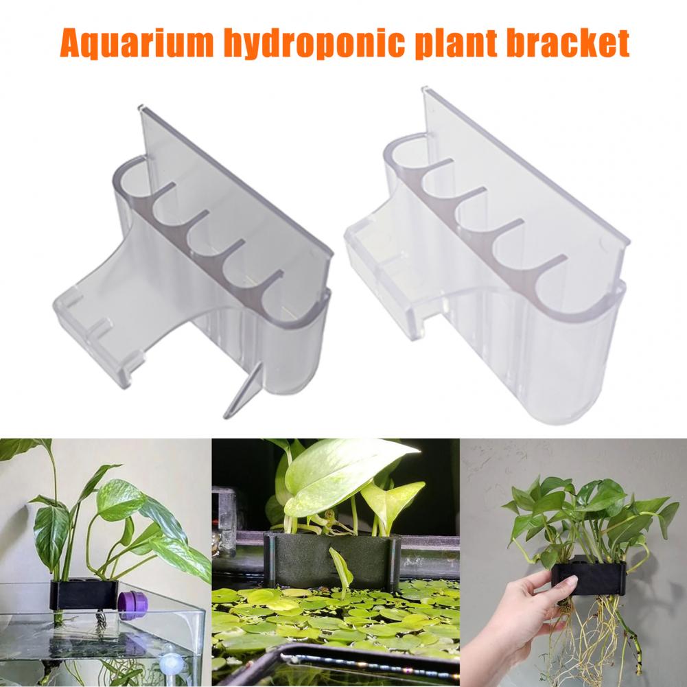 4.5/6.5cm Aquarium Plant Holde - Aquarium Fish Pot recensie en prijs