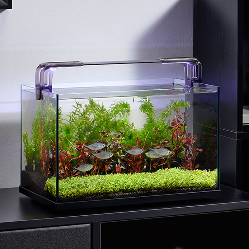 sttl Cherlam Factory Wholesale - Aquarium Fish Games recensie en prijs