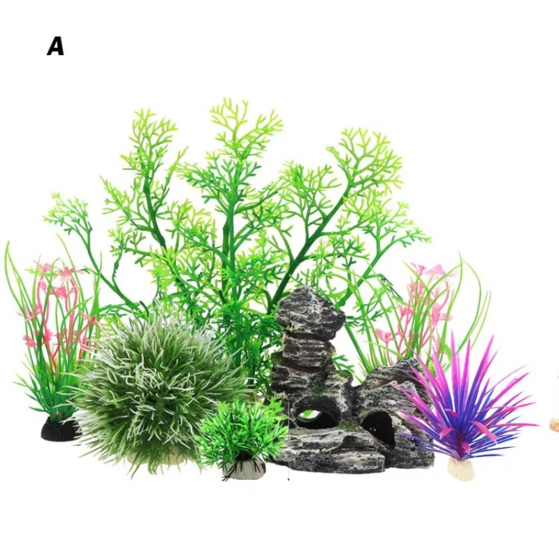 10pcs Hot Selling New Arrival  - Aquarium Fish For Sale recensie en prijs