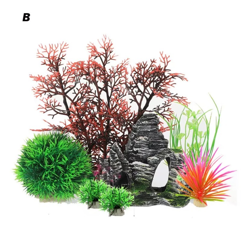 10pcs Hot Selling New Arrival  - Aquarium Fish For Sale recensie en prijs