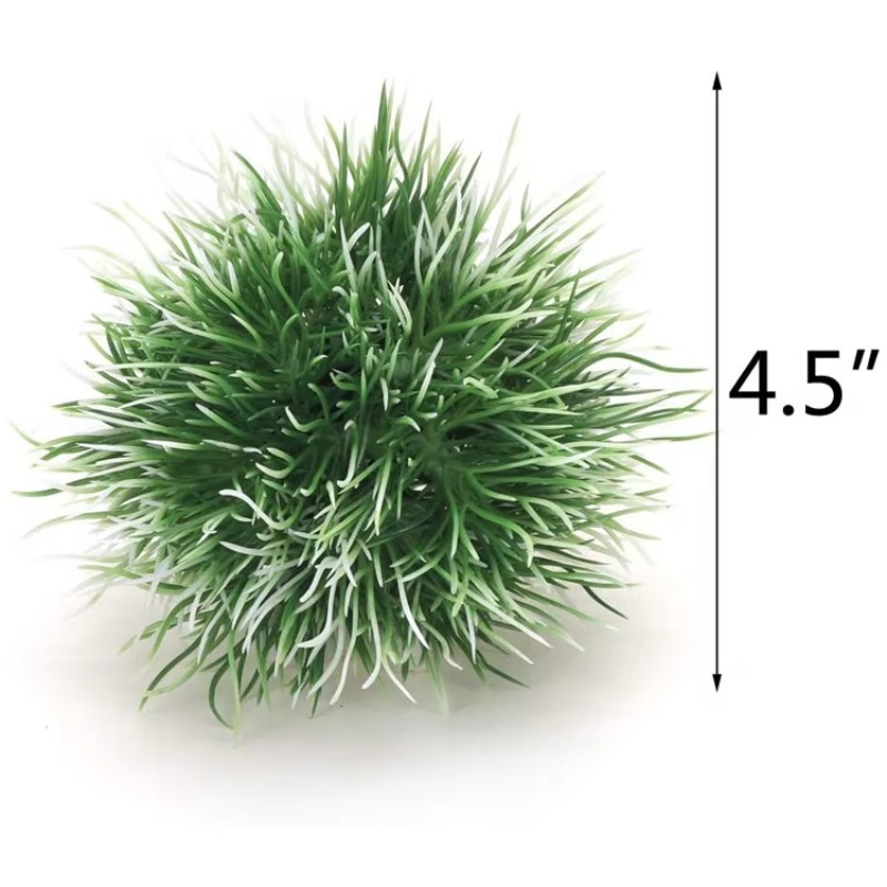 10pcs Hot Selling New Arrival  - Aquarium Fish For Sale recensie en prijs