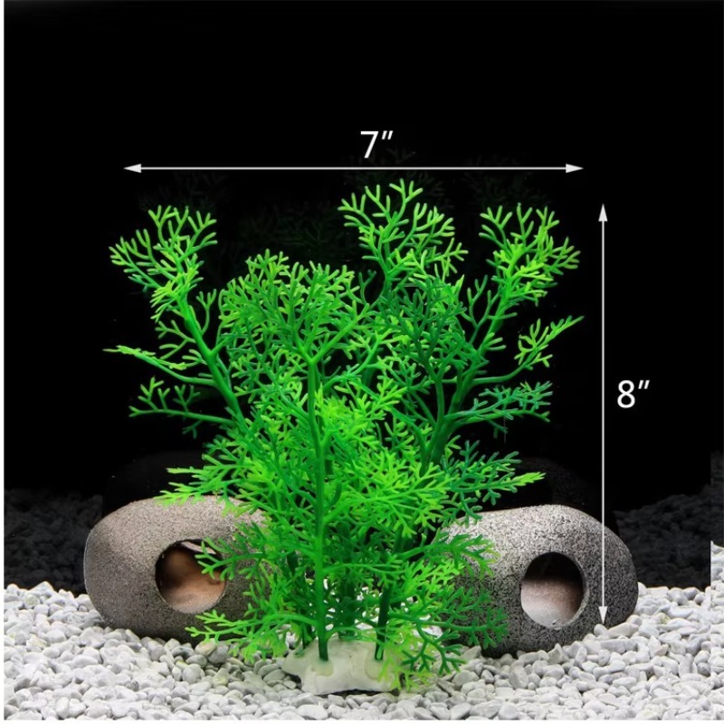 10pcs Hot Selling New Arrival  - Aquarium Fish For Sale recensie en prijs