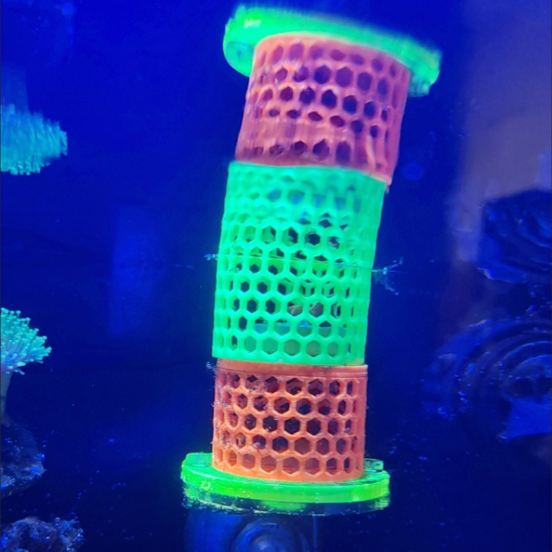 Fluorescent SPS LPS Coral Moun - Aquarium Fish Reproduction recensie en prijs