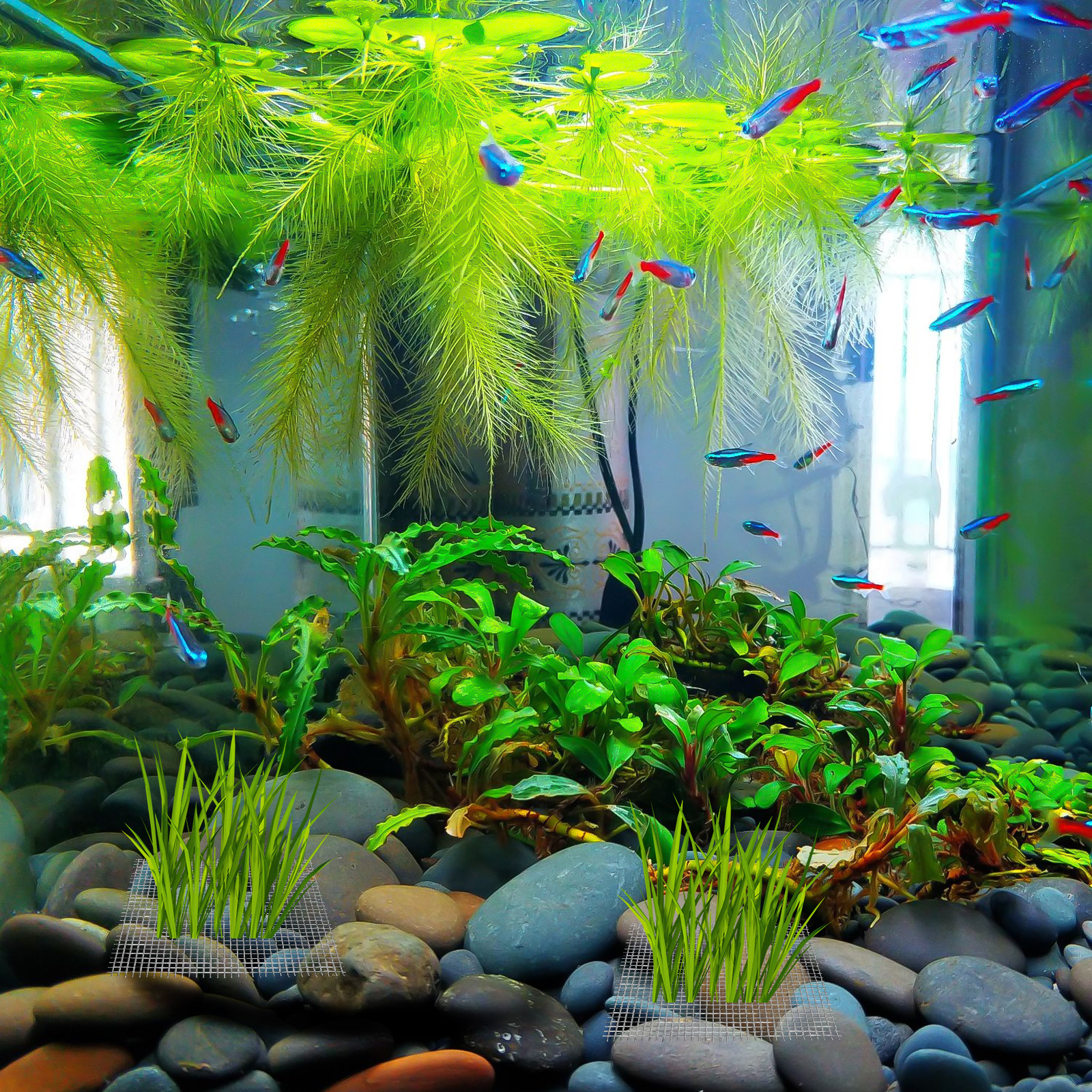 15Pcs Stainless Steel Moss Mes - Aquarium Fish Low Maintenance recensie en prijs