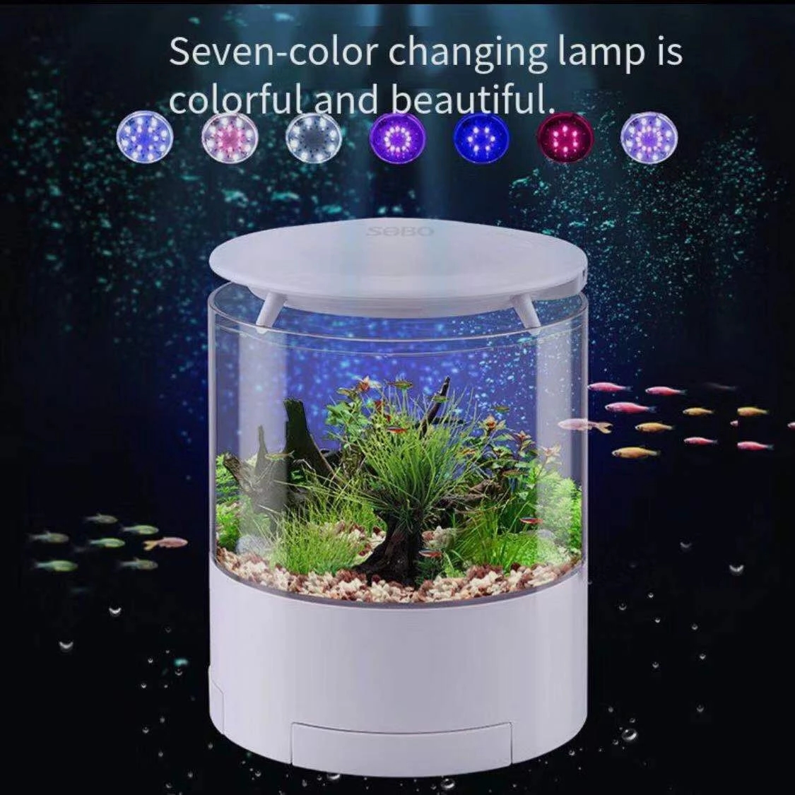 Round colorful lights desktop  - Aquarium Fish For Sale recensie en prijs