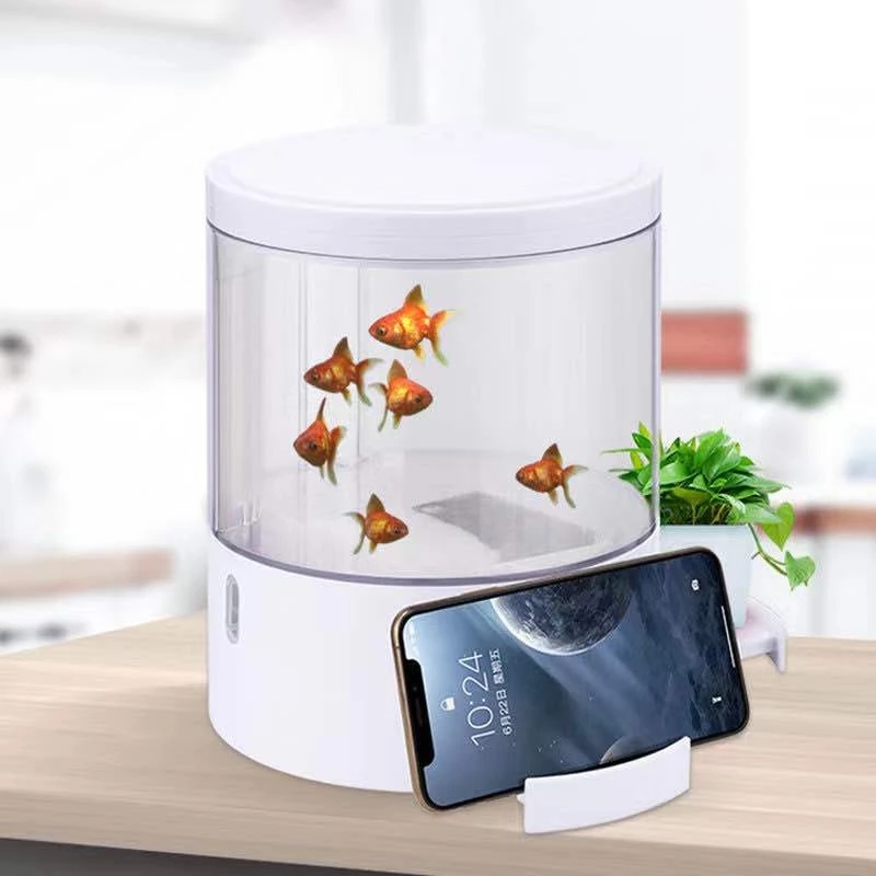 Round colorful lights desktop  - Aquarium Fish For Sale recensie en prijs