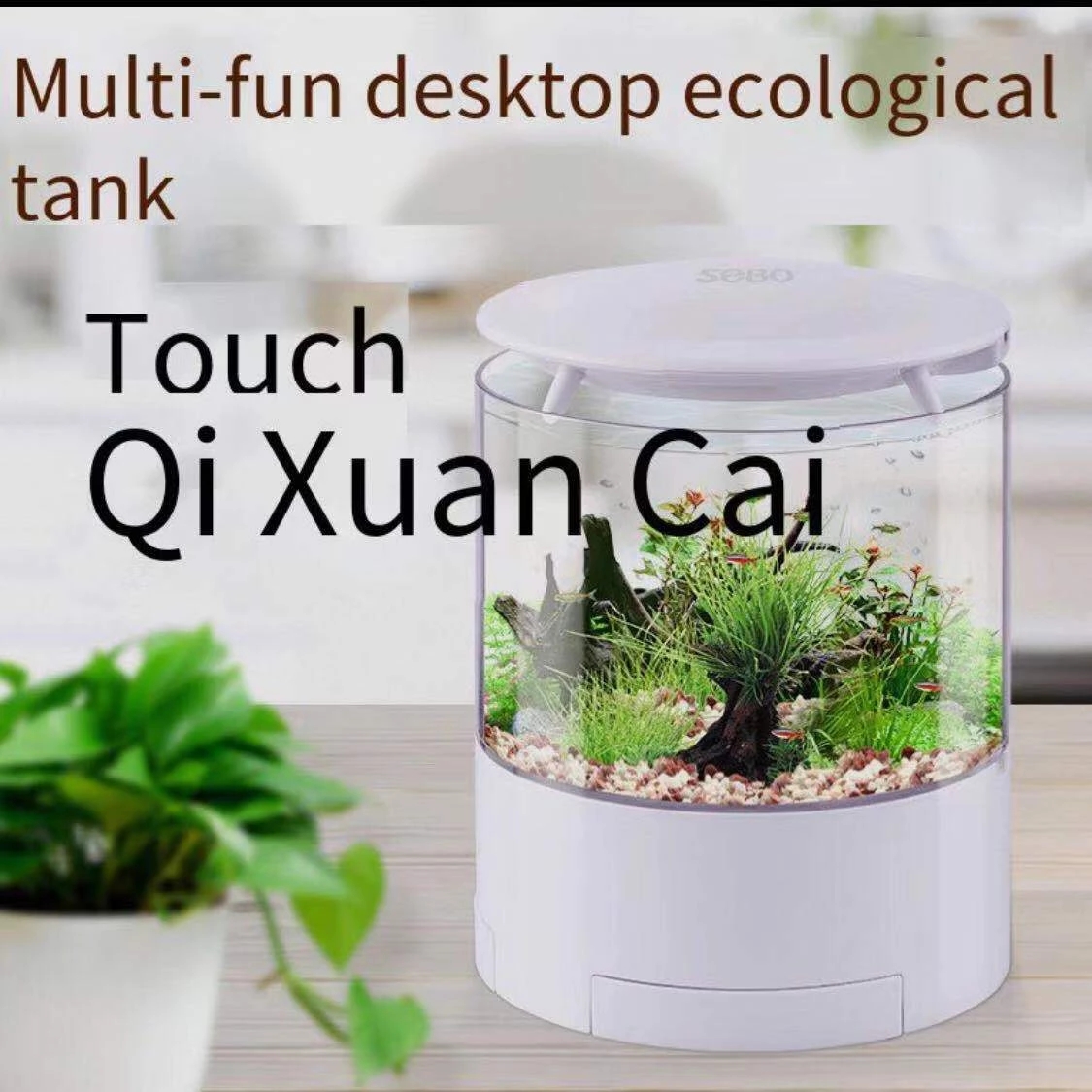 Round colorful lights desktop  - Aquarium Fish For Sale recensie en prijs