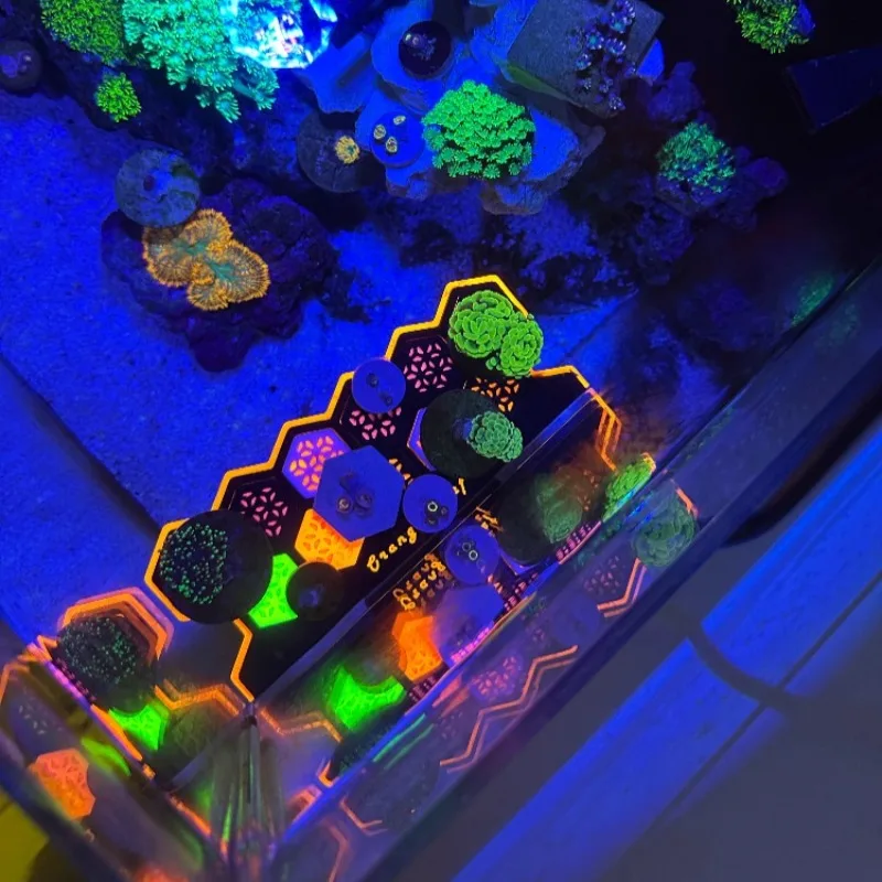 Fluorescent Coral Frag Plugs L - Aquarium Fish Reproduction recensie en prijs