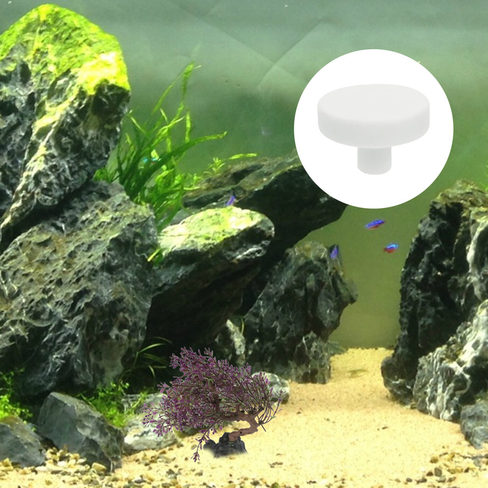 20Pcs Fish Tank Coral Base T S - Aquarium Fish Reproduction recensie en prijs