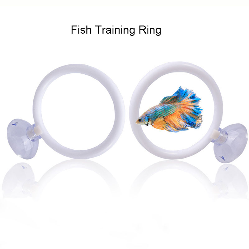 1pcs Plastic Fish Tank Aquariu - Aquarium Fish Games recensie en prijs