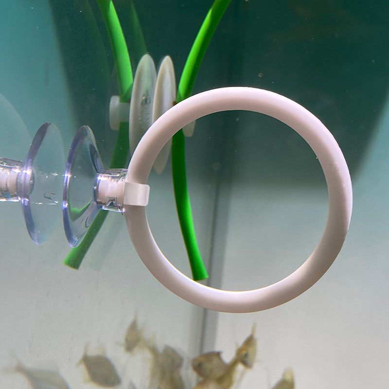 1pcs Plastic Fish Tank Aquariu - Aquarium Fish Games recensie en prijs