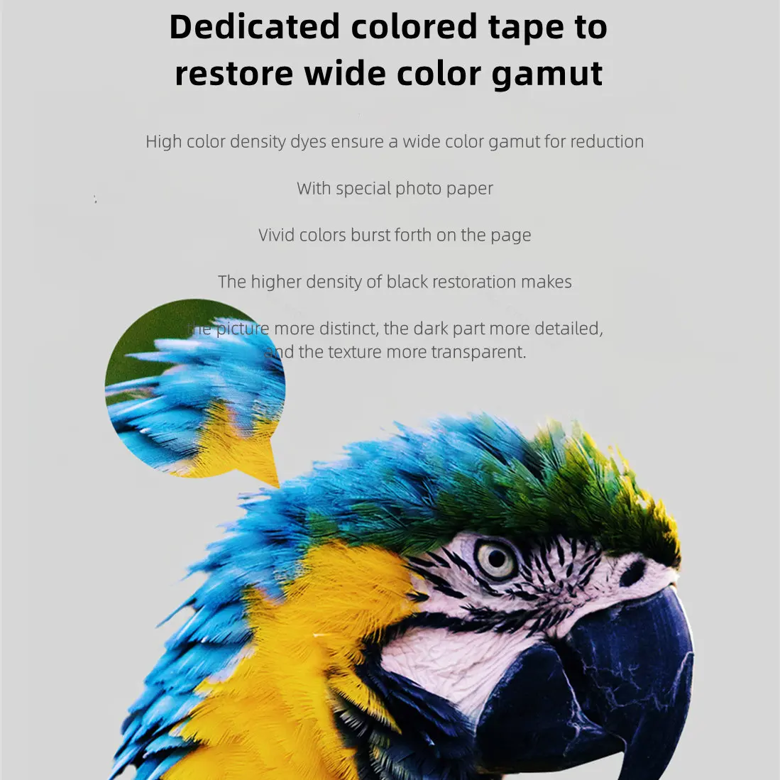 MIjia Photo Printer Dedicated  - Aquarium Xiaomi recensie en prijs