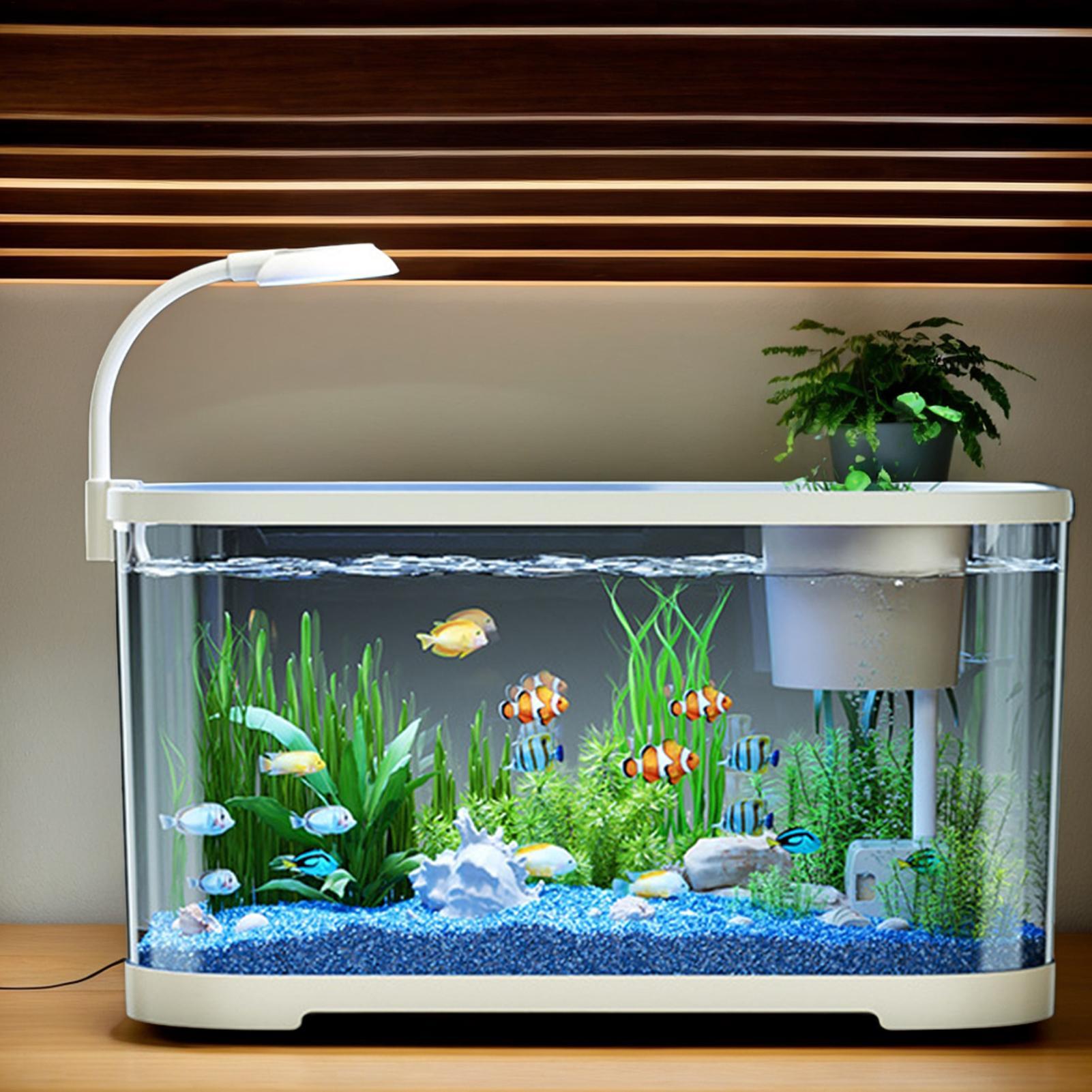 Aquarium Kit Starter Betta Fis - Aquarium Fish Games recensie en prijs