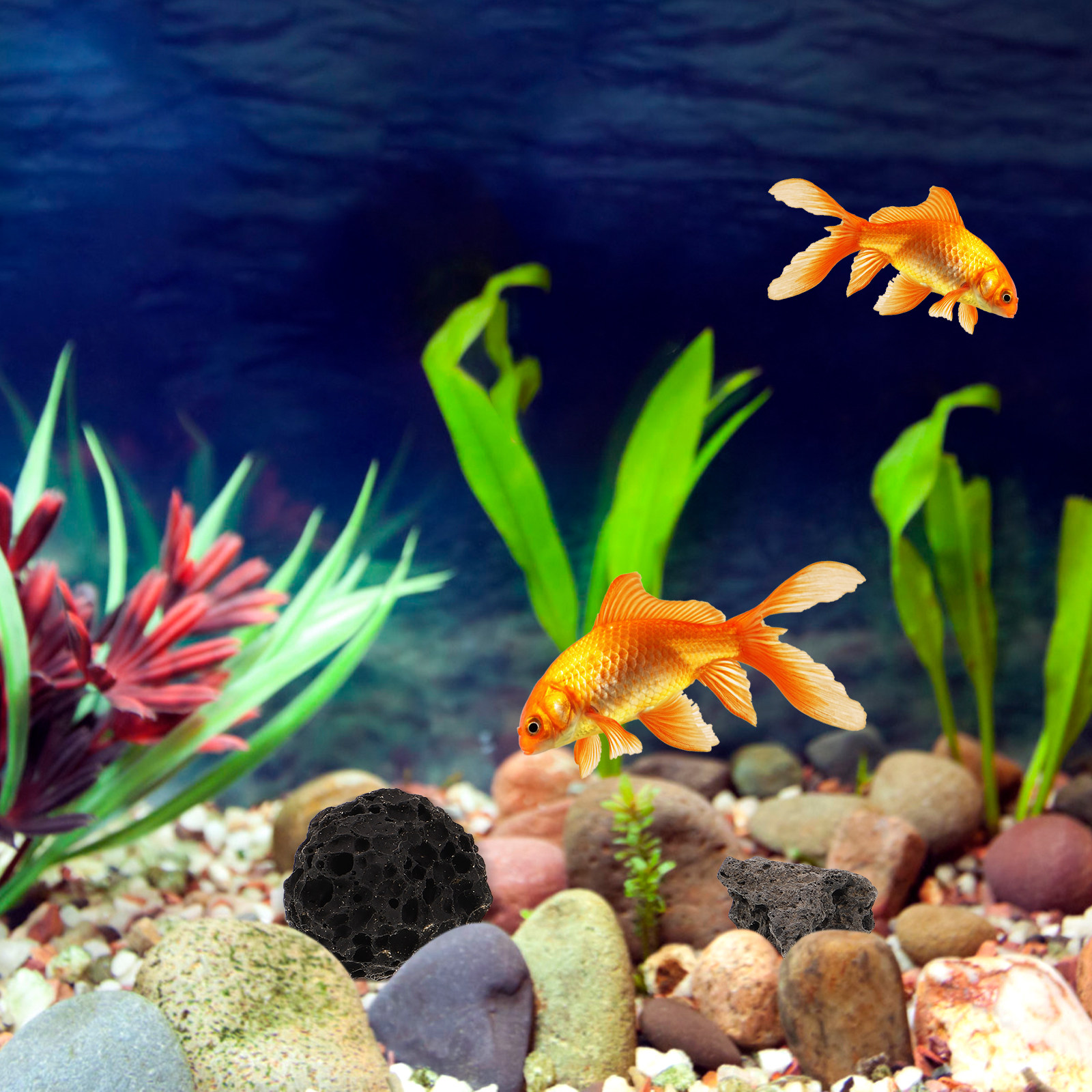 Volcanic Rock Ornaments Natura - Aquarium Fish Pot recensie en prijs
