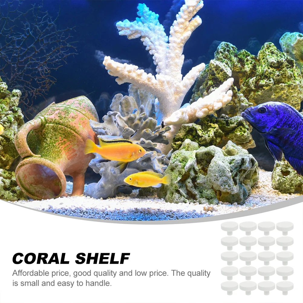 20Pcs Coral Glue Reef Safe Cor - Aquarium Fish Reproduction recensie en prijs