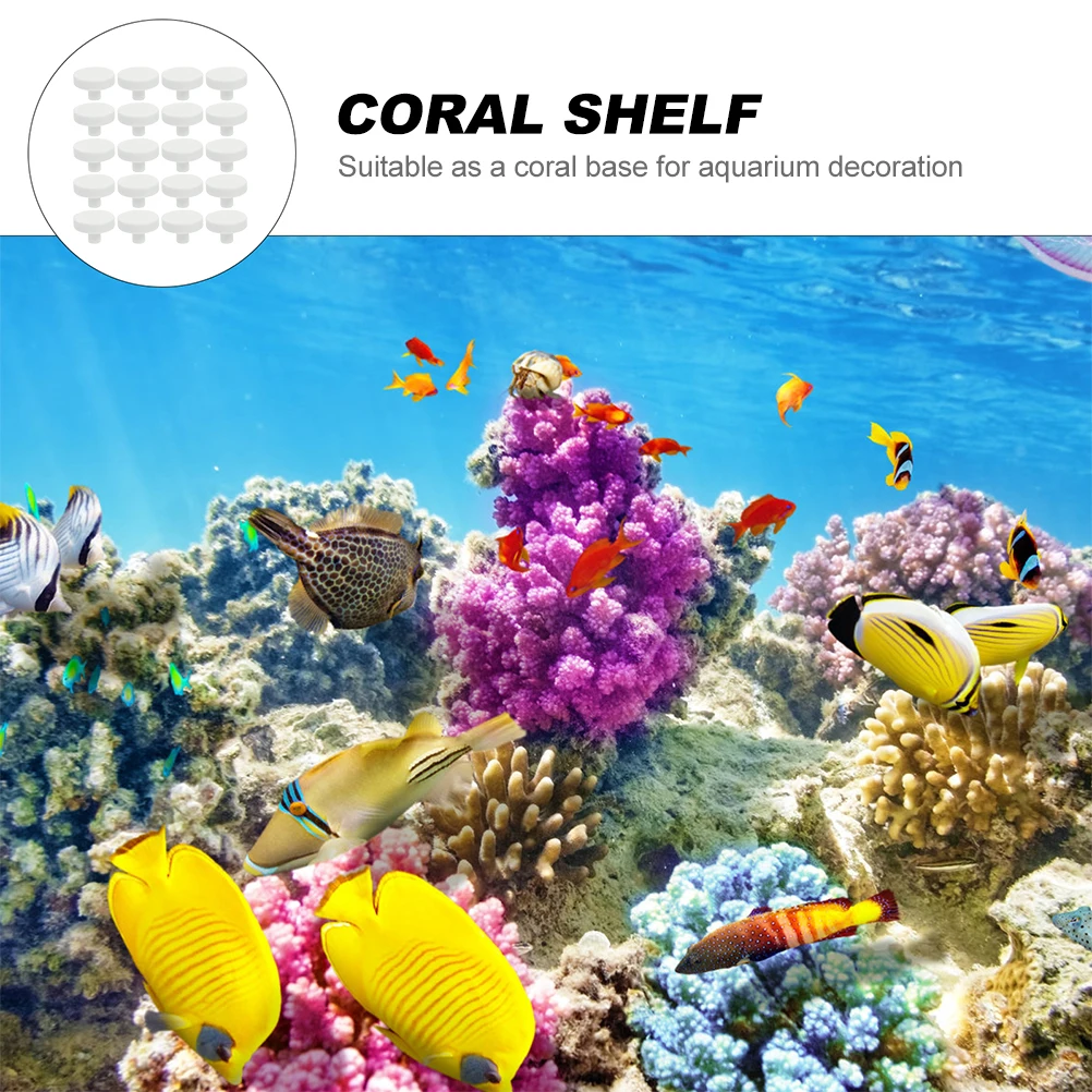 20Pcs Coral Glue Reef Safe Cor - Aquarium Fish Reproduction recensie en prijs
