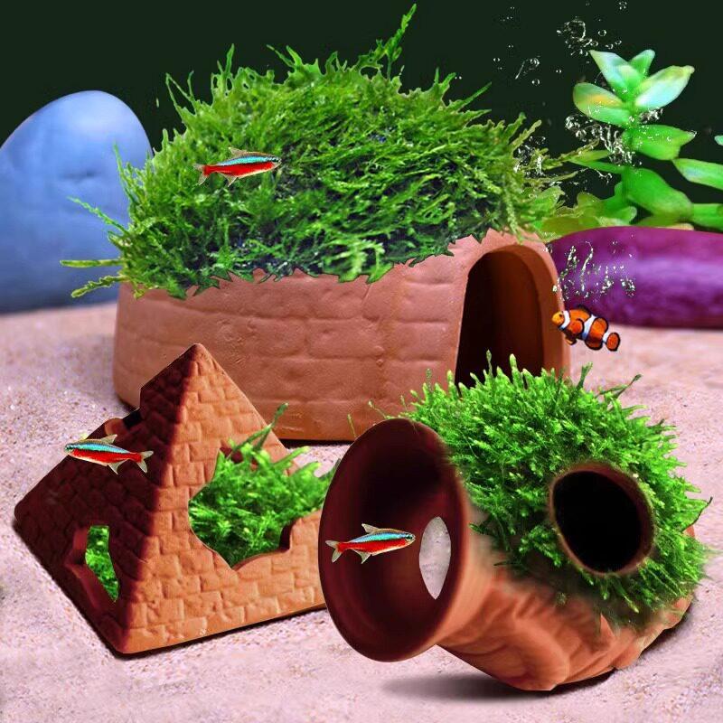  Clay Tank with Hiding Hole fo - Aquarium Fish Reproduction recensie en prijs