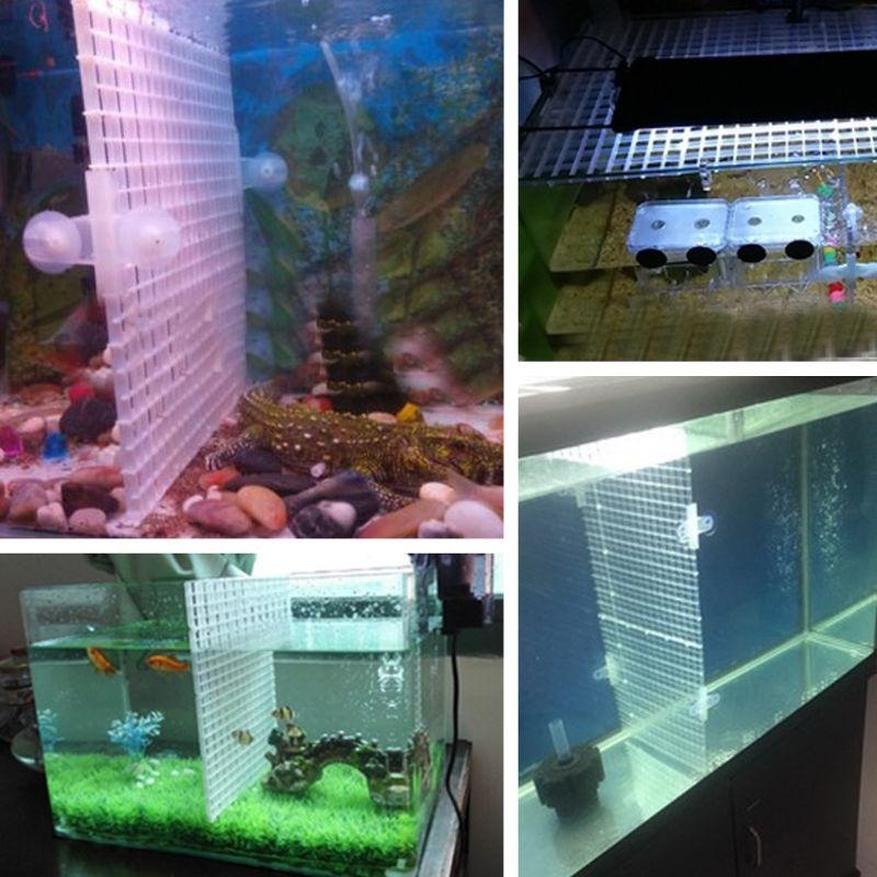 Aquarium Bottom Plate Fish for - Aquarium Fish For Sale recensie en prijs