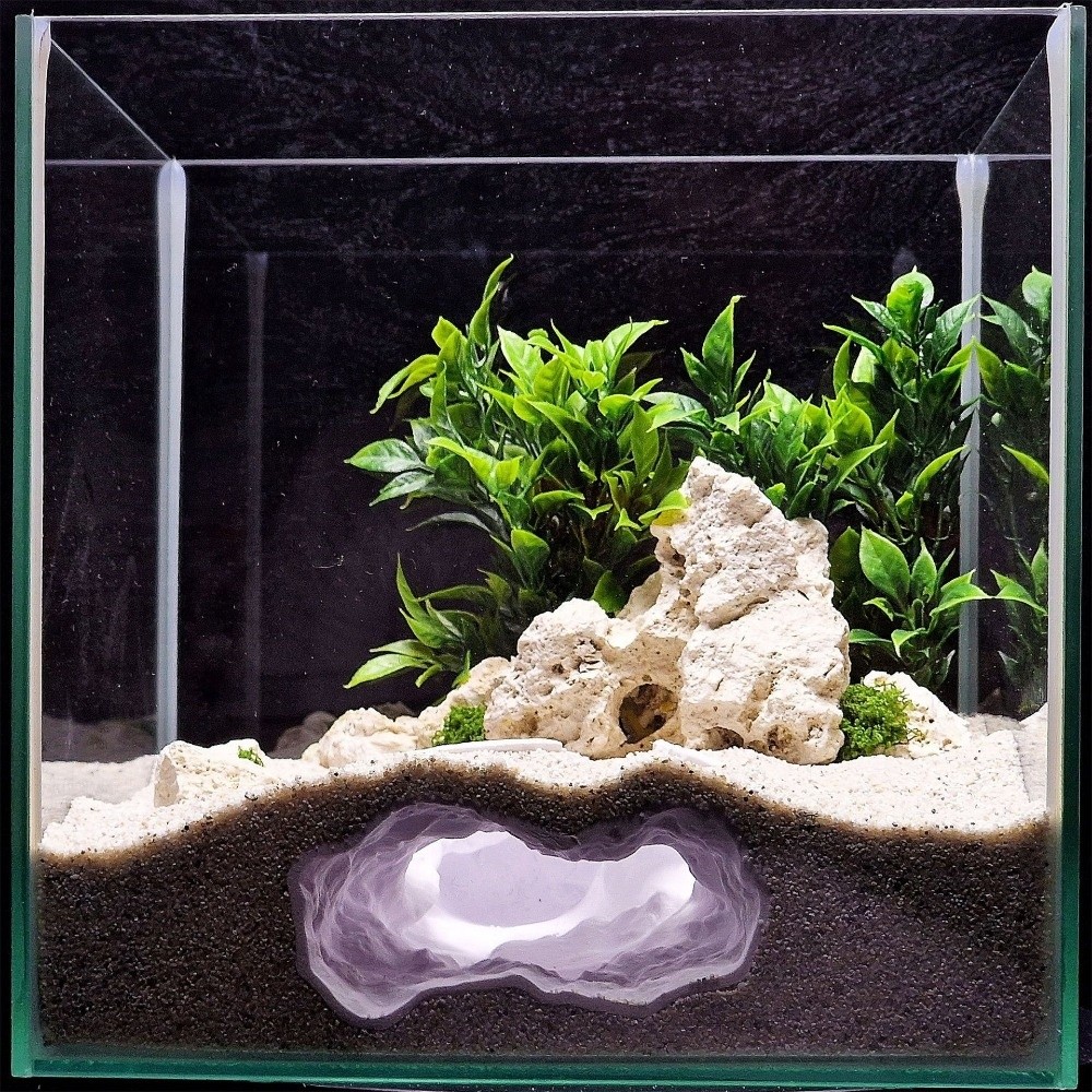 Highly Simulated Aquarium Fish - Aquarium Fish Reproduction recensie en prijs