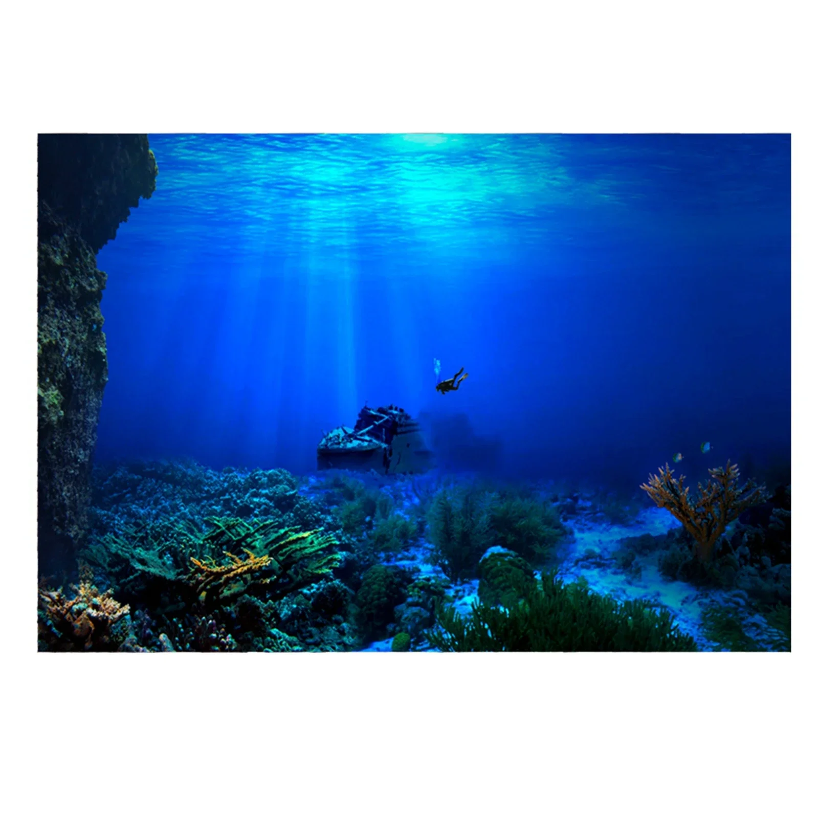 Rainforest Aquarium Background - Aquarium Fish World recensie en prijs