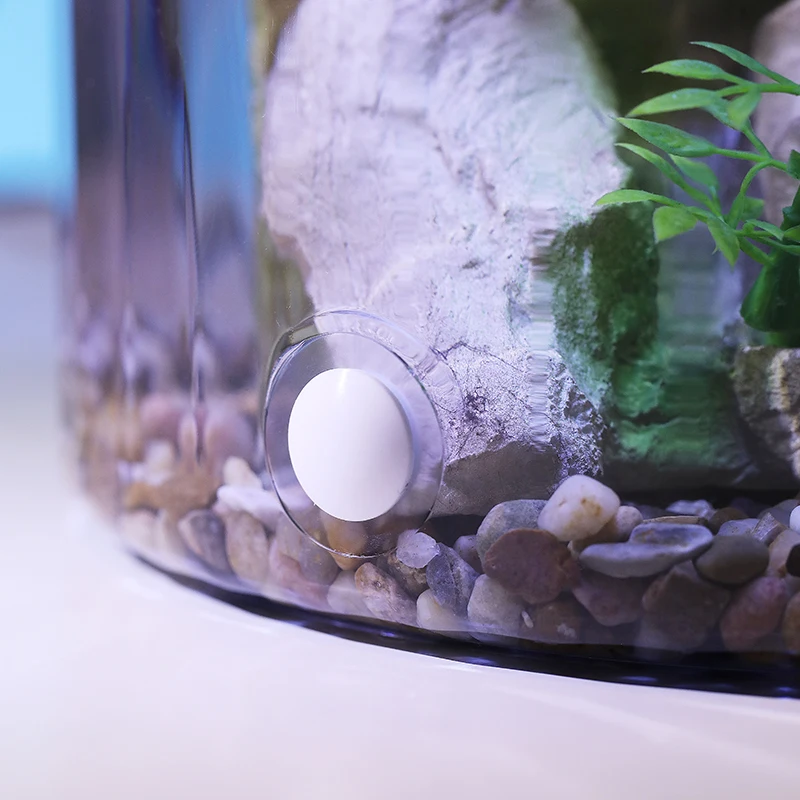 Compact Round Goldfish Bowl -  - Aquarium Fish Low Maintenance recensie en prijs