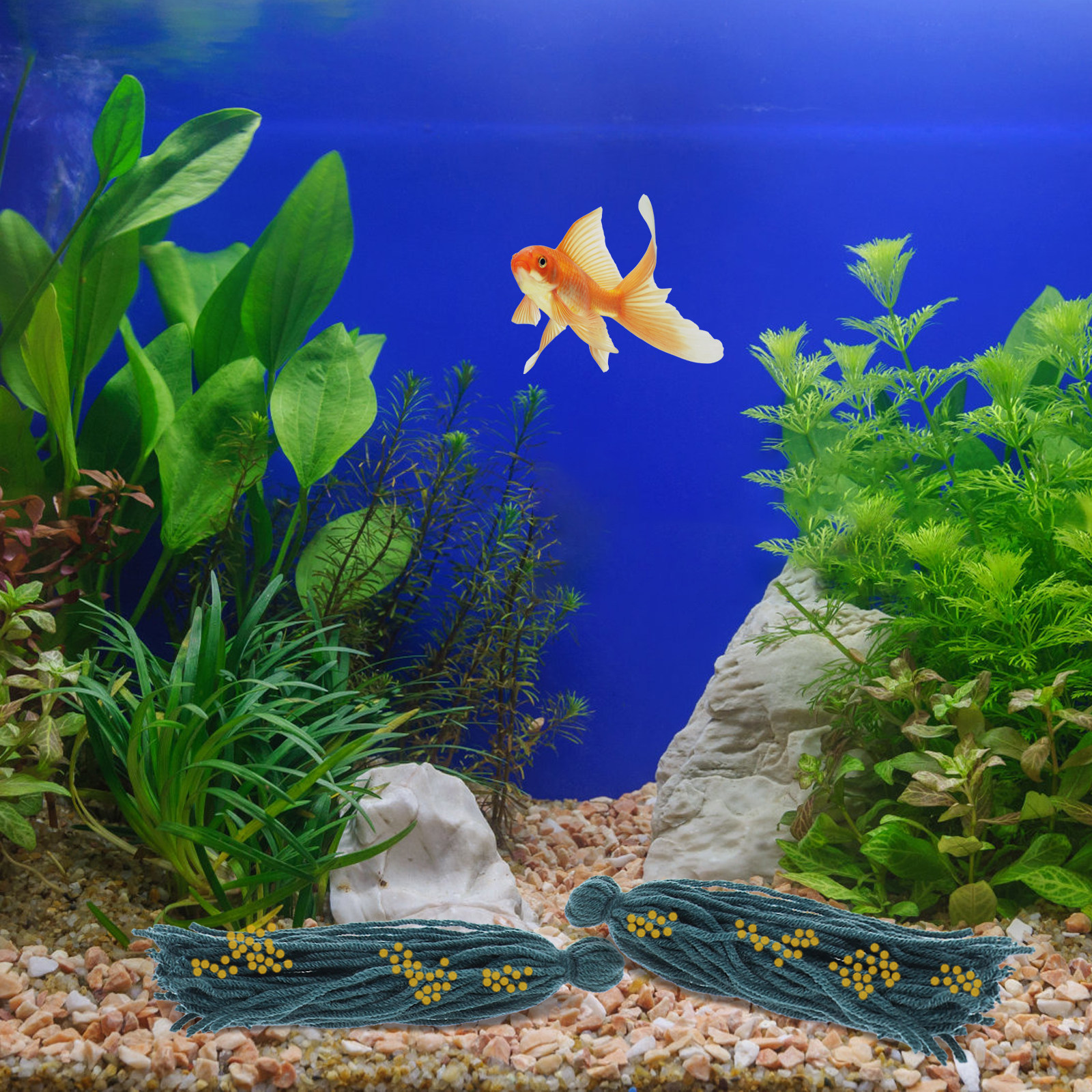5 Pcs Mop Fish Breeding Spawni - Aquarium Fish Reproduction recensie en prijs