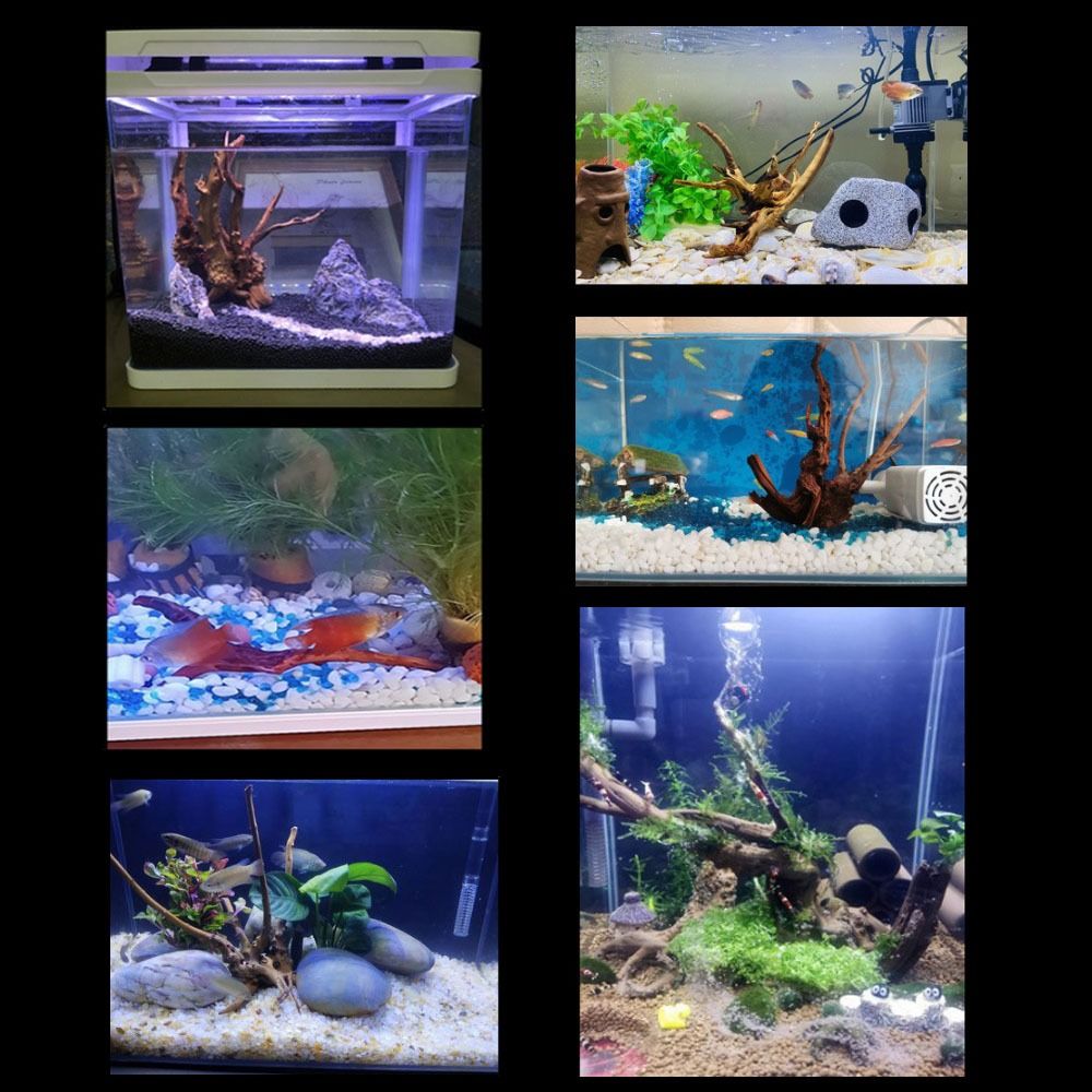Natural Tree Trunk Aquarium De - Aquarium Fish Games recensie en prijs