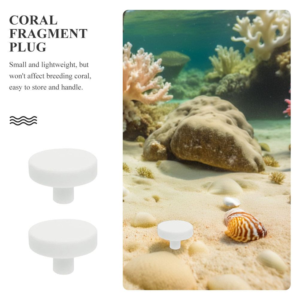 20 Pcs White Coral Reproductio - Aquarium Fish Reproduction recensie en prijs