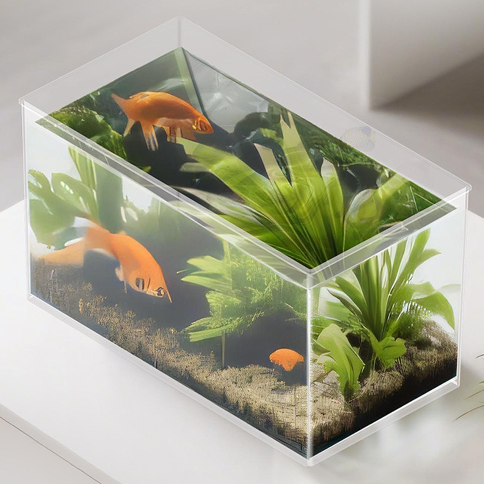 Small Fish Tank Betta Tank Ext - Aquarium Fish Games recensie en prijs