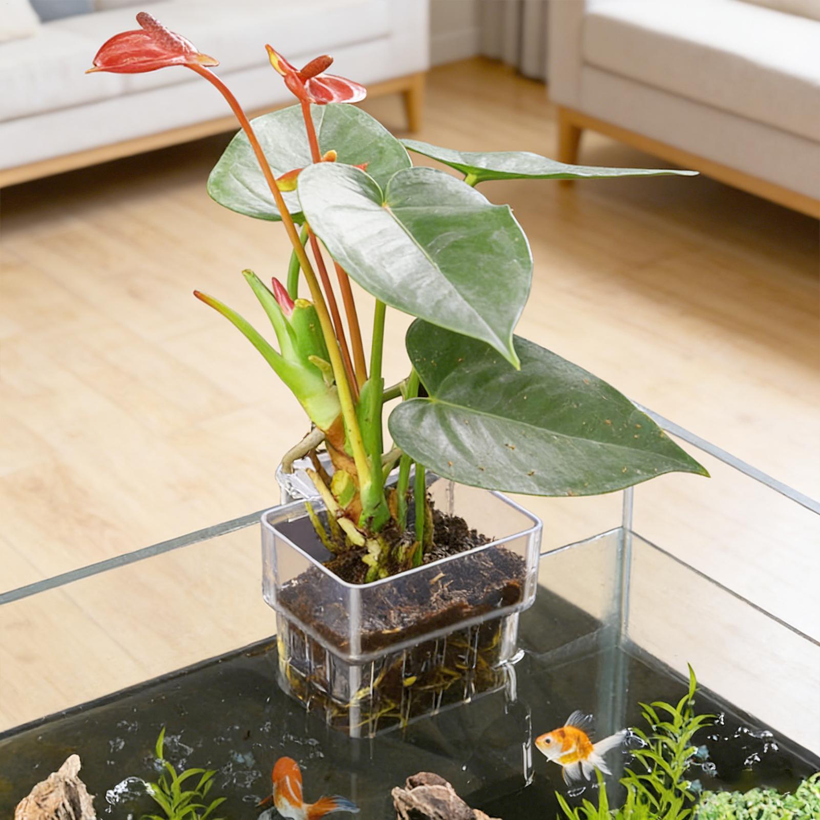 Transparent Hangable Aquarium  - Aquarium Fish Pot recensie en prijs