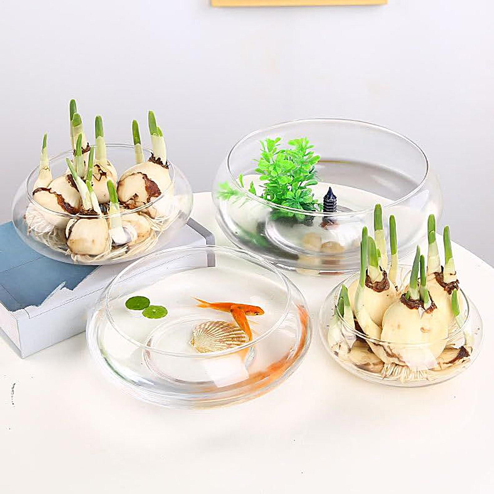 Fish Glass Bowl Glass Large Hy - Aquarium Fish Pot recensie en prijs