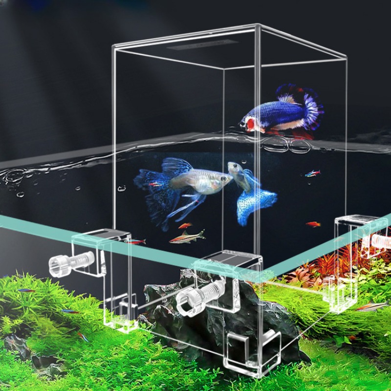 Creative Aquarium Tanks Negati - Aquarium Fish Pot recensie en prijs