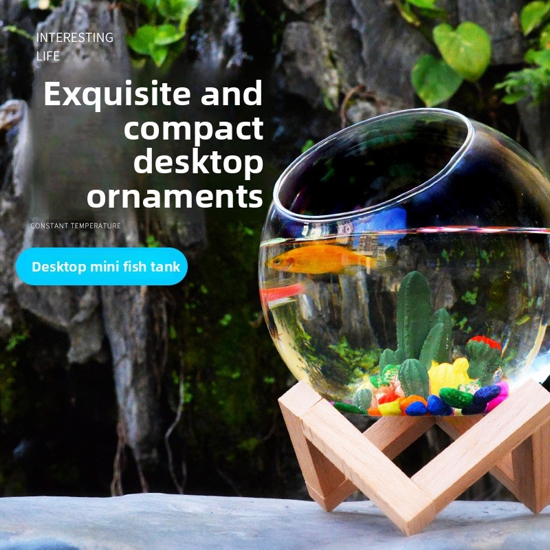 Mini Desktop Aquarium for Bett - Aquarium Fish Low Maintenance recensie en prijs