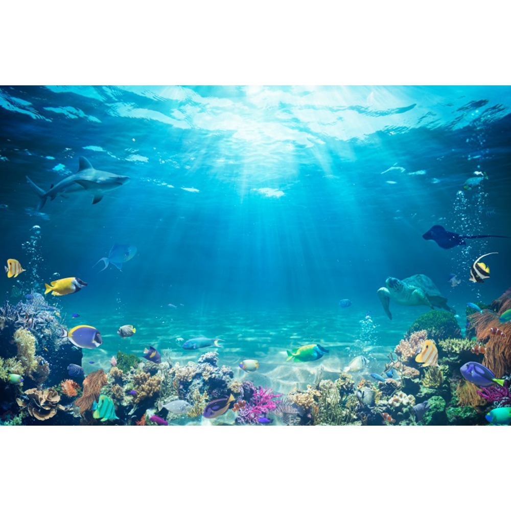 Underwater World Seabed Backdr - Aquarium Fish World recensie en prijs