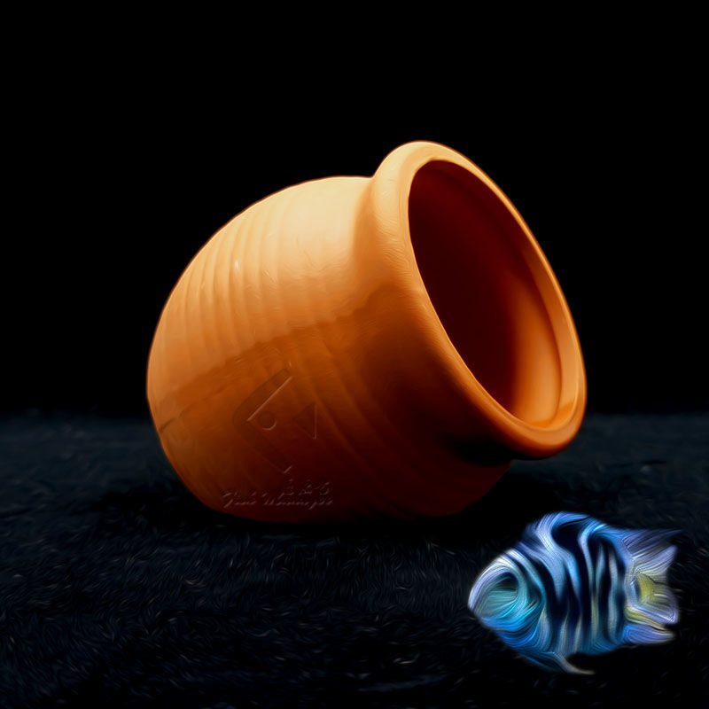 Aquarium Mini Ceramic Tank Fis - Aquarium Fish Pot recensie en prijs