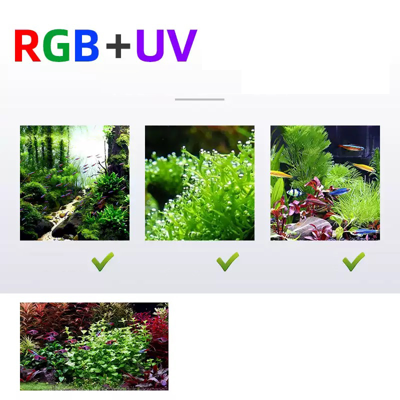 Led Lighting 60cm 80cm 90cm RG - Aquarium Fish For Sale recensie en prijs