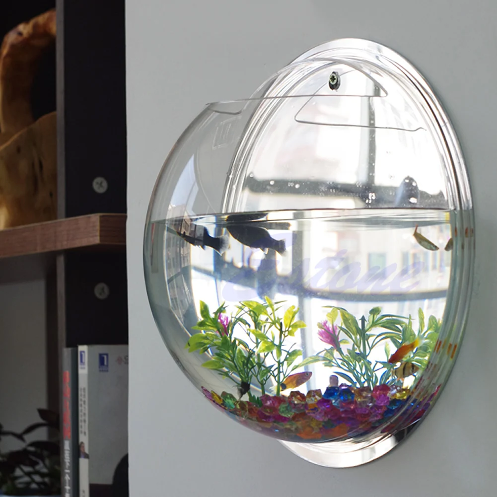 Pot Wall Hanging Mount Bubble  - Aquarium Fish Pot recensie en prijs
