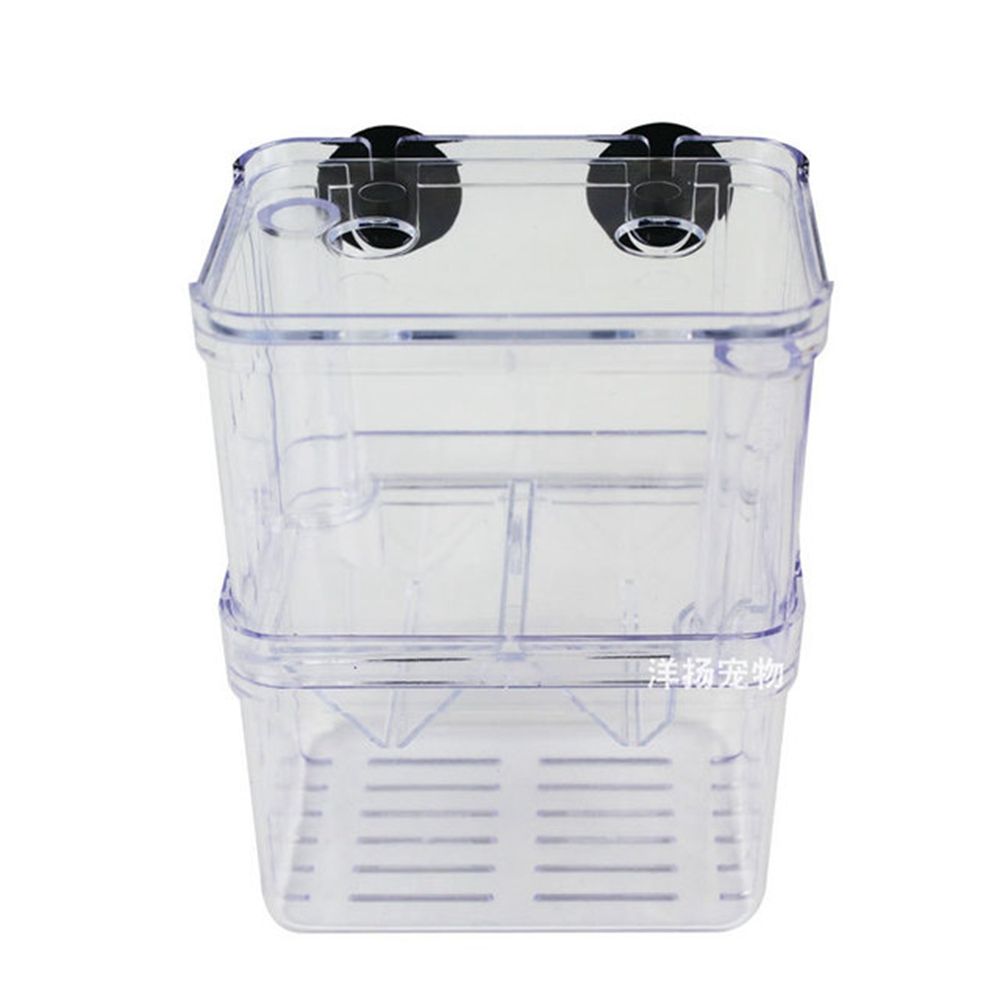 For Baby Fishes Guppy With Suc - Aquarium Fish Reproduction recensie en prijs